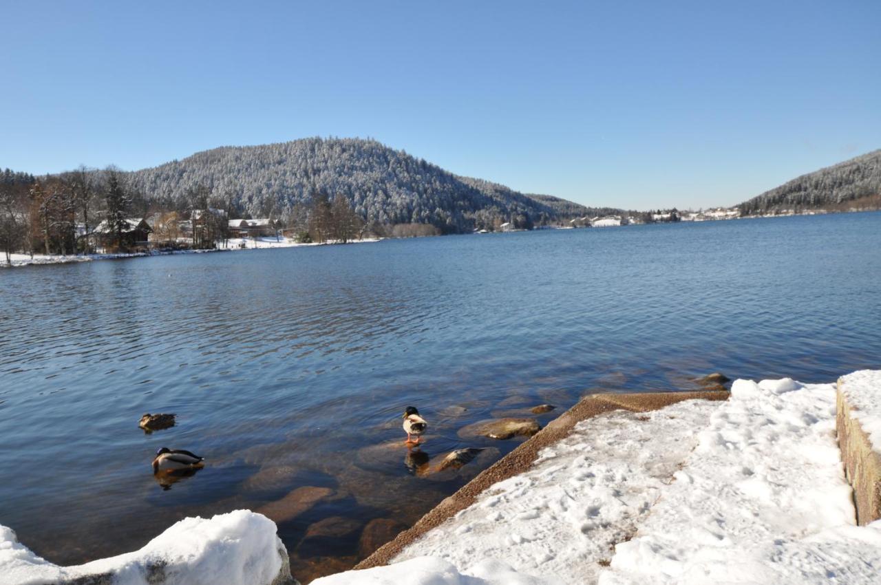 La Premiere Etoile Apartment Gerardmer